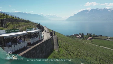 Découvertes gourmandes à la Tour-de-Peilz et aux Pléiades