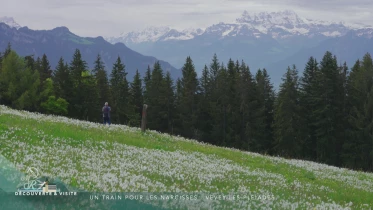 Découvertes gourmandes de Vevey aux Pléiades