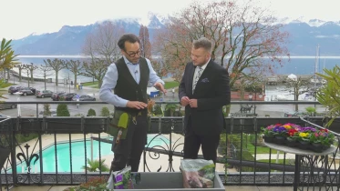 Les plantes de balcon