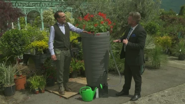 Plantes de sécheresse