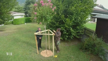 Plantations d&#039;automne