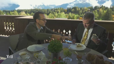 Kalanchoes: La fleur de Noël