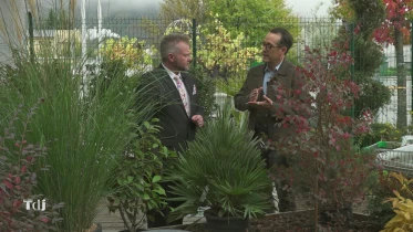 Protection Hivernale