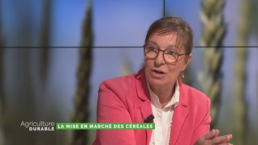 Les étapes de mise en marché des céréales