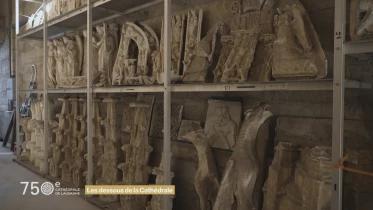 Les dessous de la Cathédrale