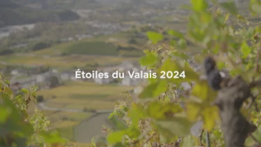 Dôle de la Cave Albert Mathier &amp; Söhne