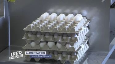 Journal du 15 avril 2025