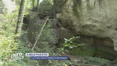 Journal du 19 août 2025