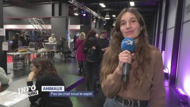 Journal du 12 décembre 2025