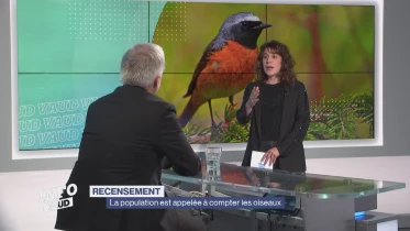 Journal du 8 janvier 2025