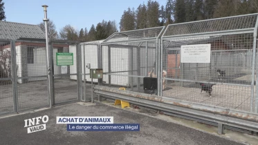 Journal du 18 février 2025