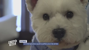 Journal du 4 mars 2025