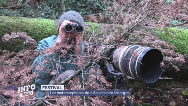 Journal du 24 octobre 2025