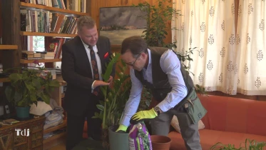 Les plantes d&#039;intérieurs