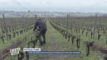 Journal du 28 janvier 2026