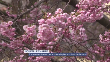 Journal du 16 mars 2026