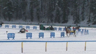 White Turf St.Moritz 2026 - Courses du 22 février 2026