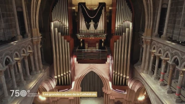 Les grandes orgues de la Cathédrale