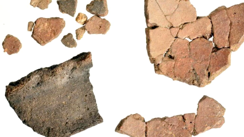 Plus de 2000 objets archéologiques identifiés à Delémont