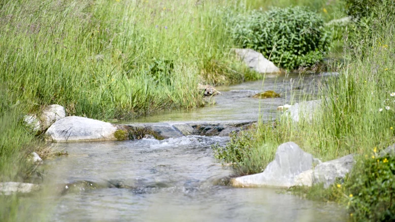 Feu vert à Vaud: 14,4 millions pour renaturer cinq rivières