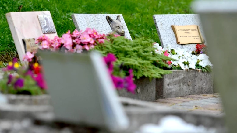 Genève: l'initiative pour un jardin du souvenir des animaux échoue