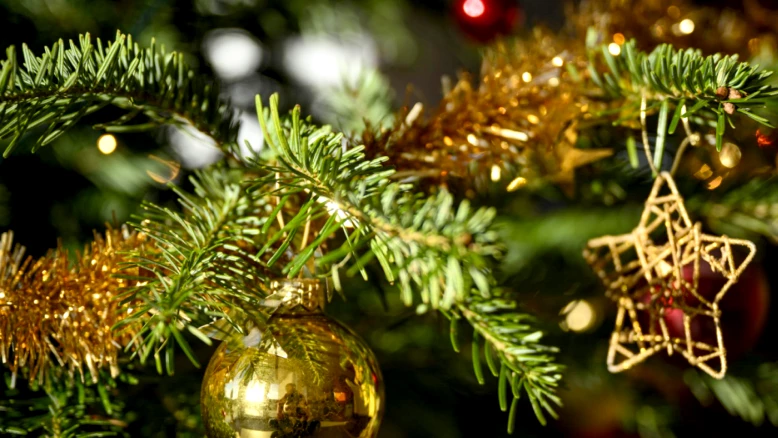 Où aller à Genève pour ne pas passer seul pendant les fêtes