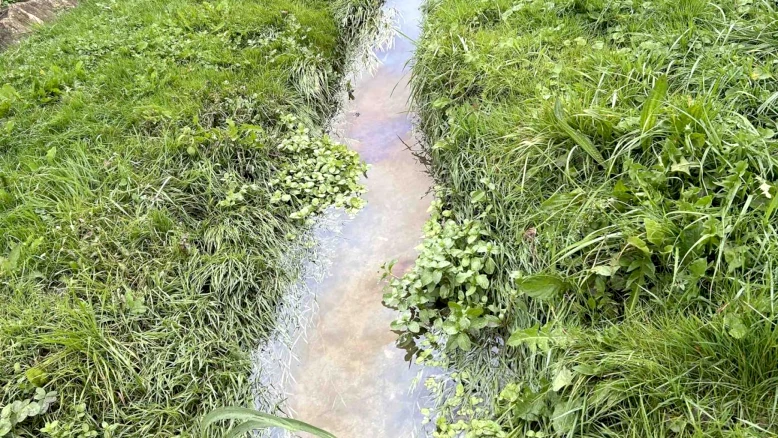 Pollution du Glaney: mousse blanche entre Billens-Hennens et Romont