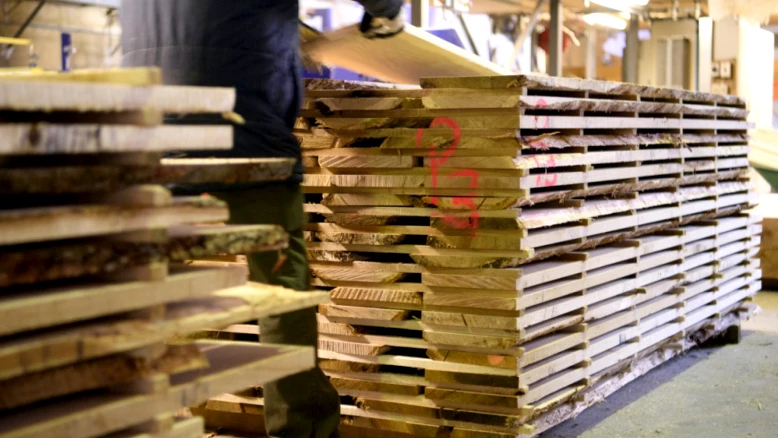 Vaud accorde 3 millions de francs de subventions aux scieries