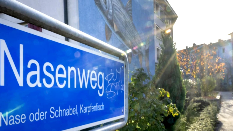 Bâle: internement et électrochocs pour un assassin schizophrène