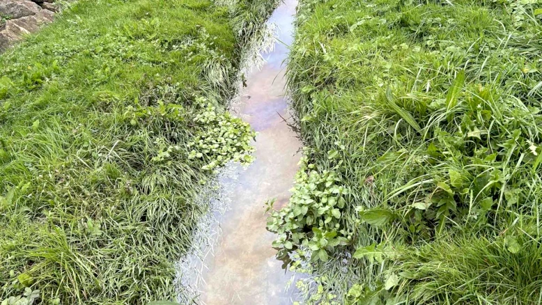 Pollution au ruisseau de L'Hôpital à Domdidier (FR) : nappe huileuse