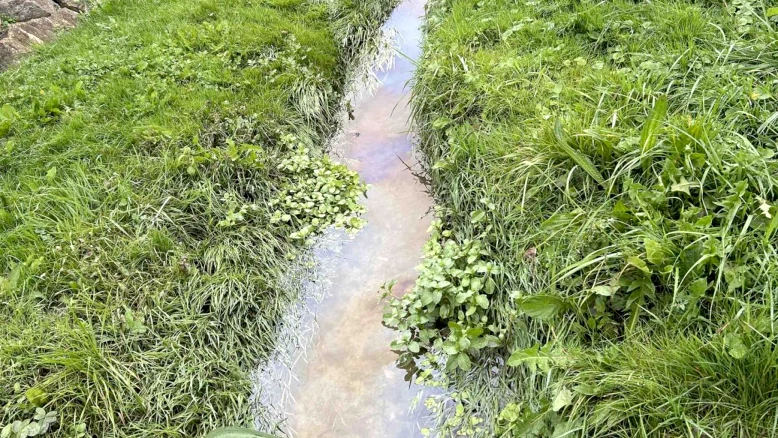 Pollution de la Sionge à Vaulruz: épandage de lisier, enquête ouverte