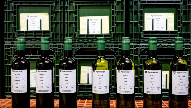 Agrovina 16e édition à Martigny : bilan très positif, 13'800 visiteurs