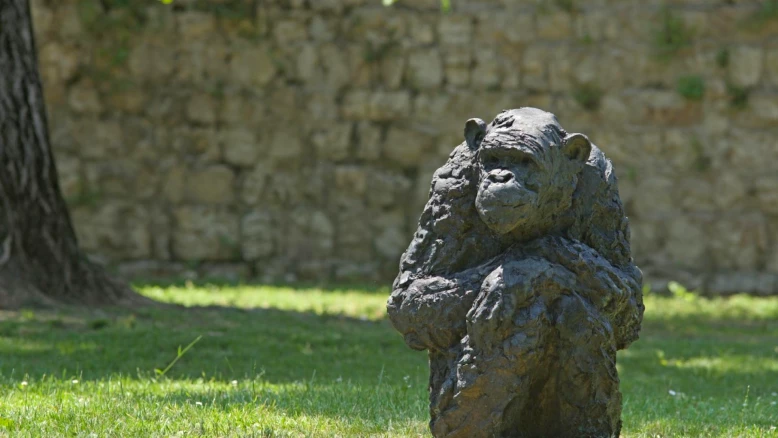 Exposition de Davide Rivalta à Neuchâtel: sculptures de grands singes