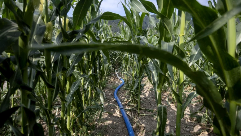 Valais finance 28 projets climatiques communaux à 870'000 francs