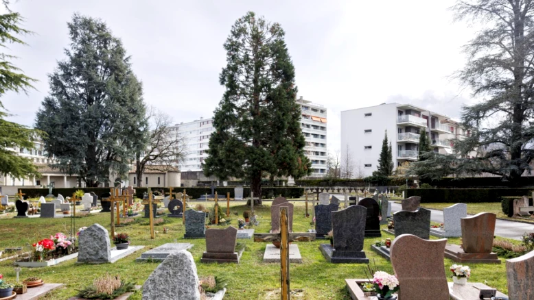 Mort et inégalités de genre : la semaine de l'égalité à Genève