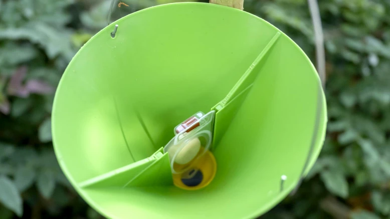 Valais renforce la lutte contre les nuisibles agricoles en 2026