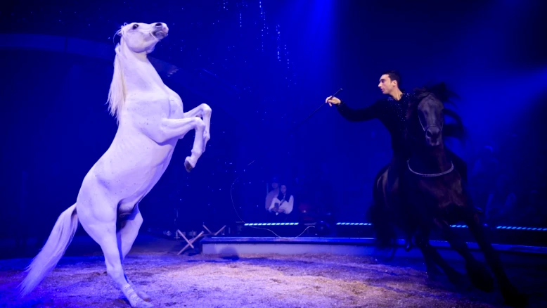 Cirque Knie : tournée 2026 avec sons et lumières innovants