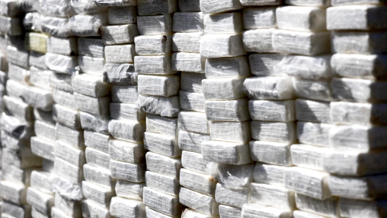 Opération au cœur de la DZ Mafia à Marseille : 26 mis en examen