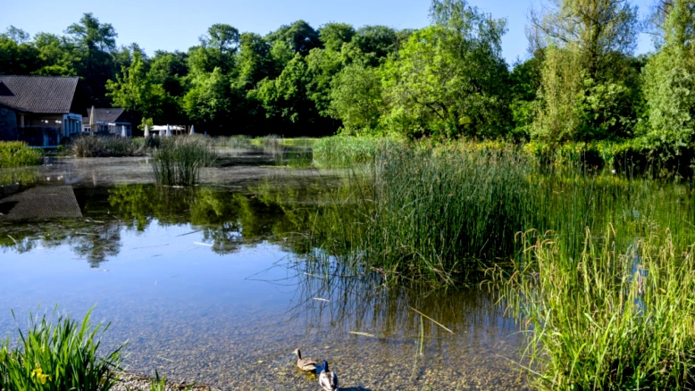 Lausanne: fête de la forêt à Sauvabelin samedi — ateliers et contes
