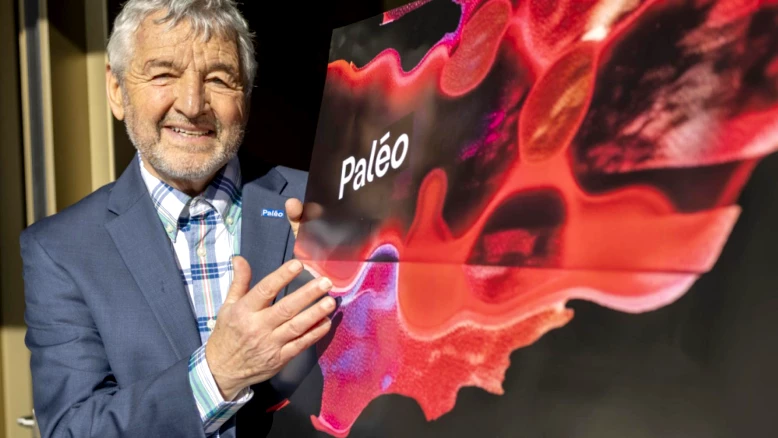 Katy Perry, Gorillaz et The Cure, têtes d'affiche du Paléo 2026