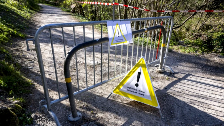 Pollution dans un ruisseau à Rathvel (FR) : plusieurs poissons morts