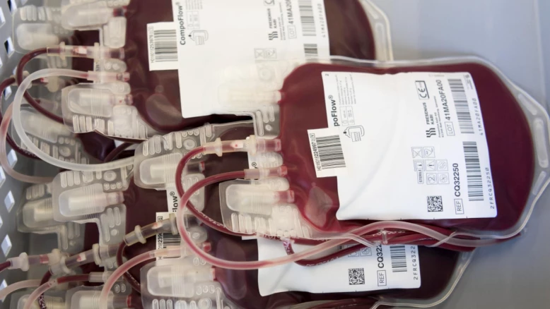 Suisse : record de 105 dons de cellules souches du sang en 2025