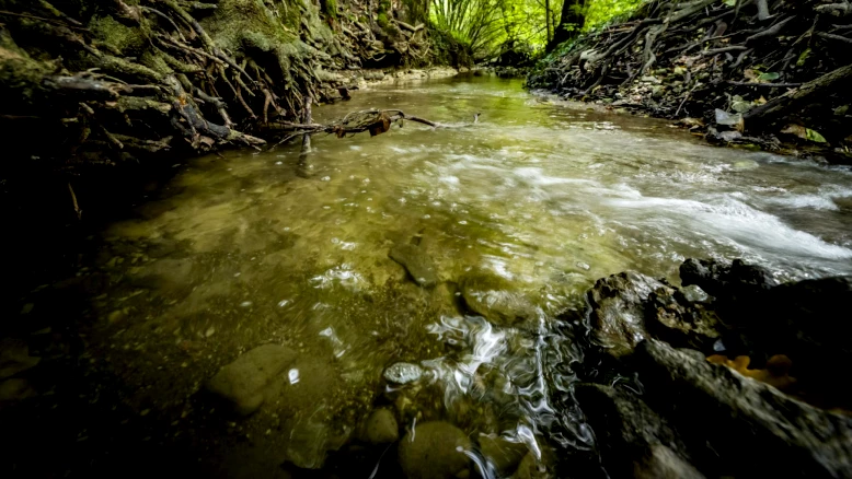 Pollution à Villariaz (FR) : 250 l de lait dans le ruisseau