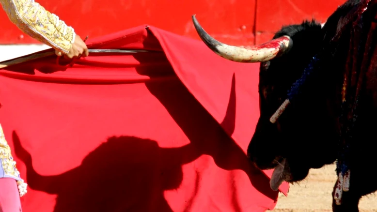 Ancien matador mortellement encorné à Malaga avant corrida