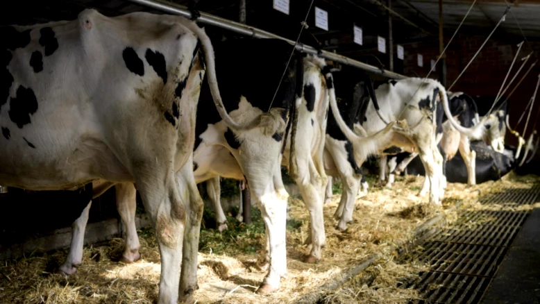 Agri Fribourg : restructuration profonde et vente de deux filiales