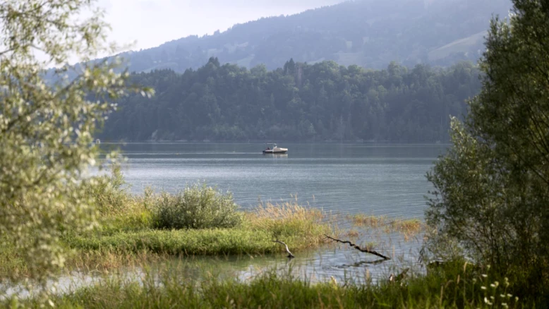 Mère et son fils secourus sur une presqu'île du lac de la Gruyère