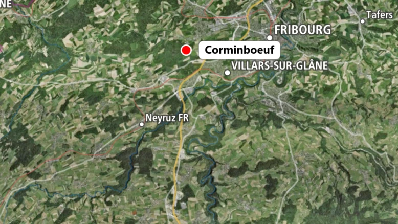 Pollution du ruisseau à Corminboeuf : plusieurs poissons morts