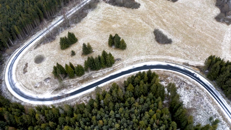 Femme de 58 ans tuée par un ours dans les Bieszczady, Pologne