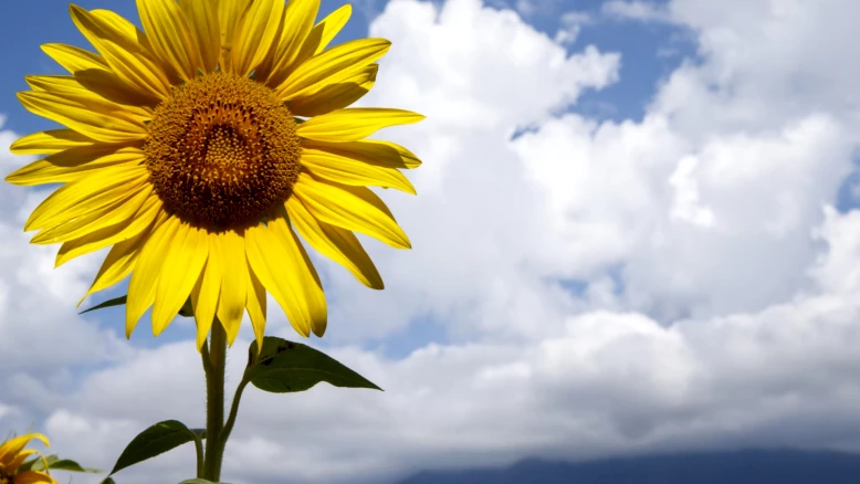 Exposition 'Clock' aux Berges de Vessy : les horloges biologiques