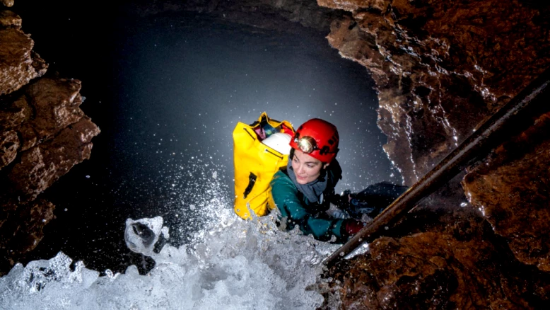 FNS : les meilleures images scientifiques suisses primées en 2026